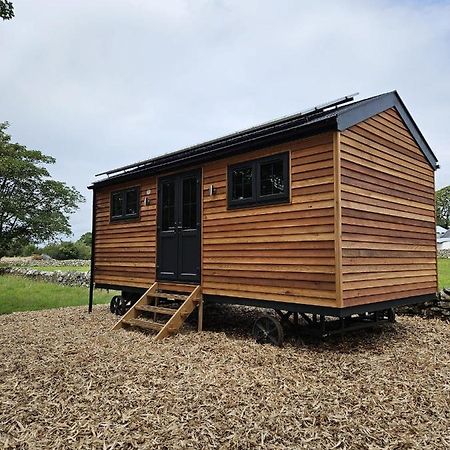 Woodland Shepherds Hut - 'Saga' Caernarfon Luaran gambar