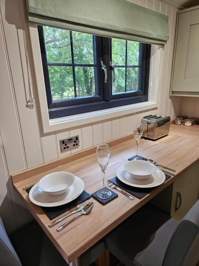 Woodland Shepherds Hut - 'Saga' Caernarfon Luaran gambar