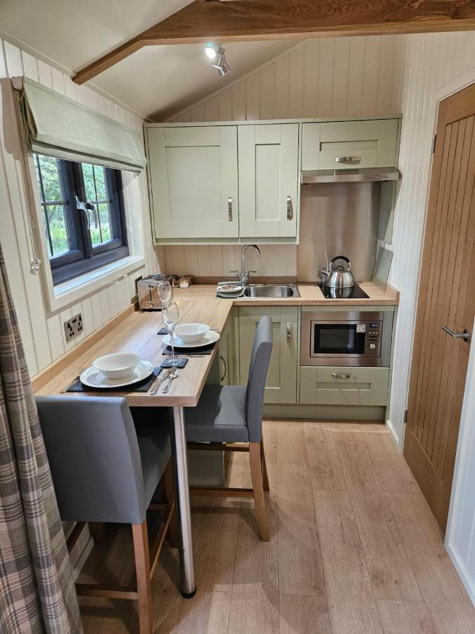 Woodland Shepherds Hut - 'Saga' Caernarfon Luaran gambar