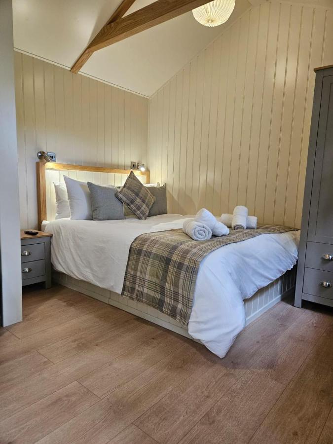 Woodland Shepherds Hut - 'Saga' Caernarfon Luaran gambar