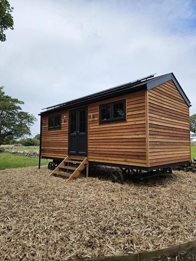 Woodland Shepherds Hut - 'Saga' Caernarfon Luaran gambar