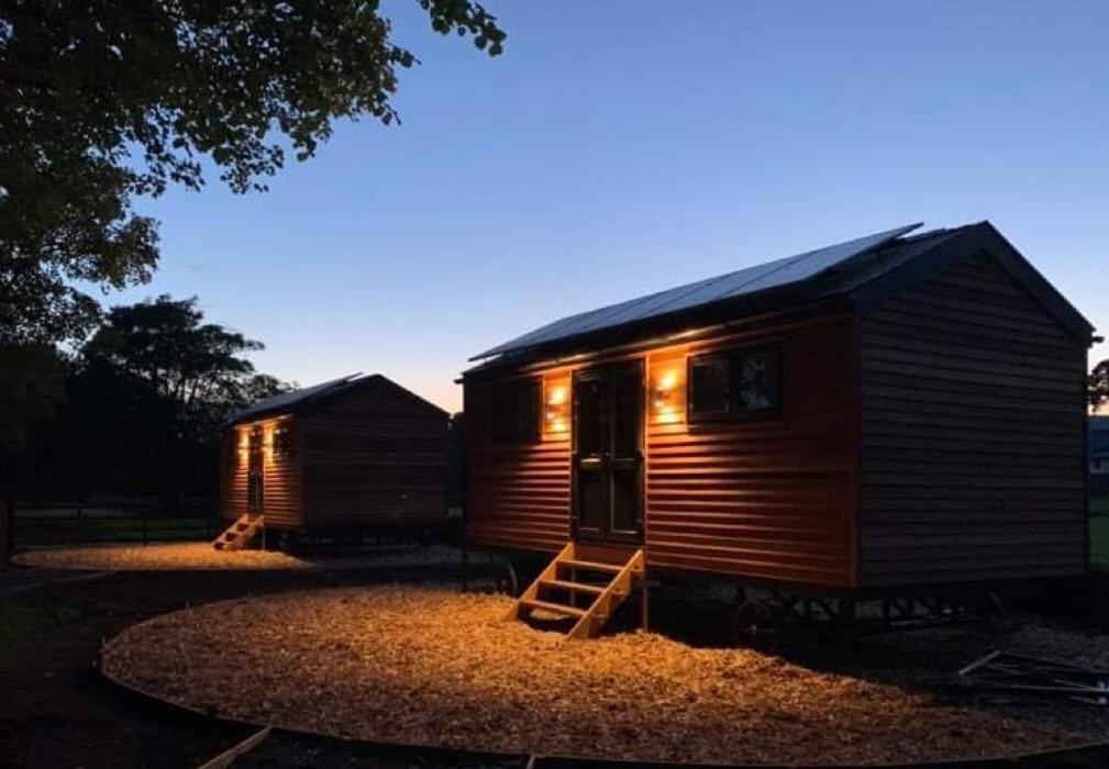 Woodland Shepherds Hut - 'Saga' Caernarfon Luaran gambar
